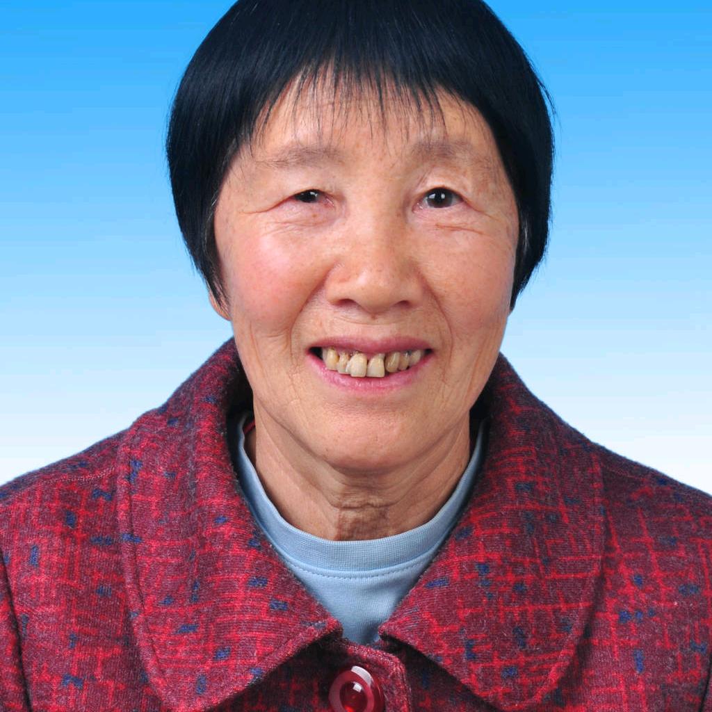 不老松