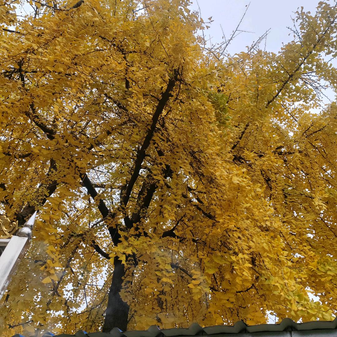 过客，