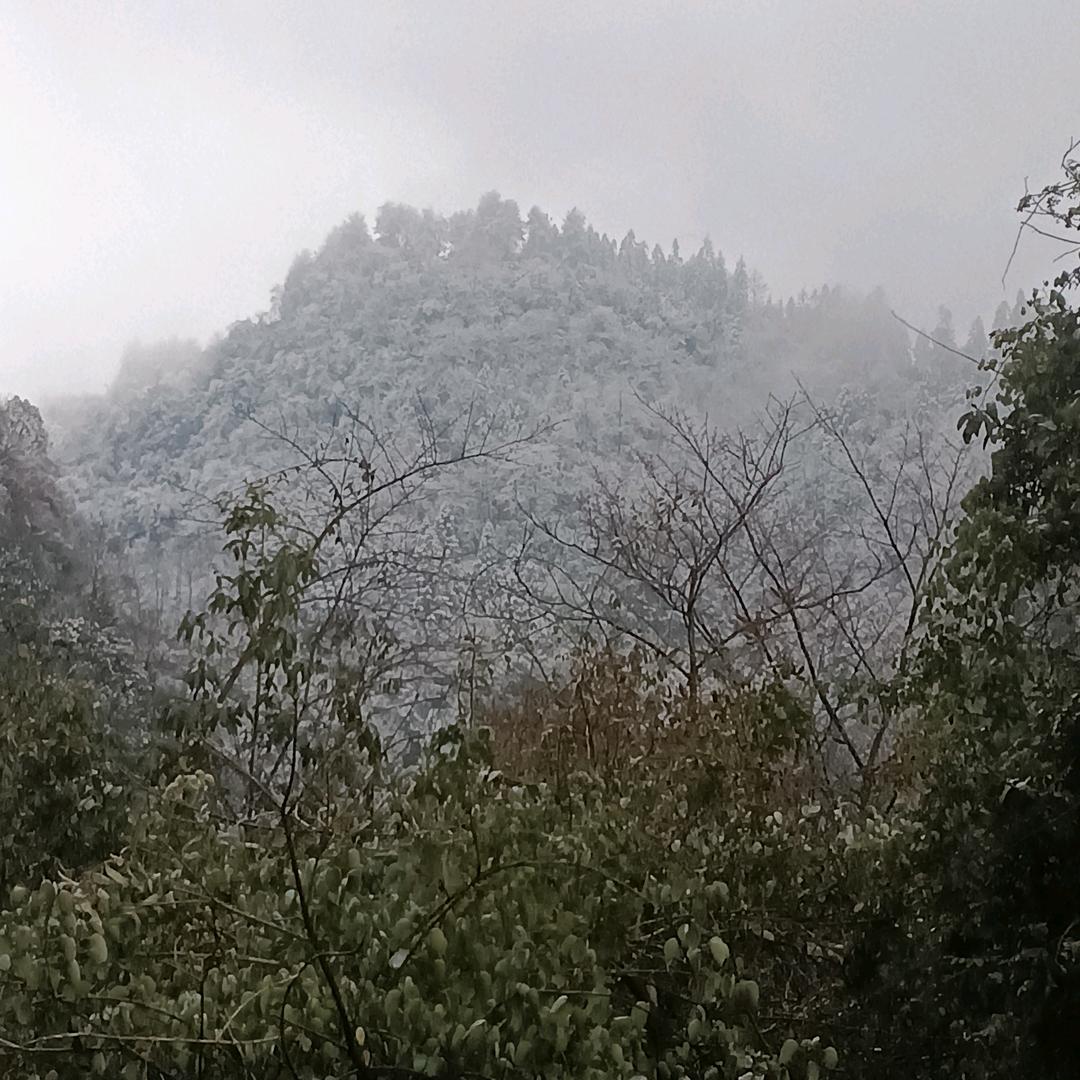 一笑眠恩愁