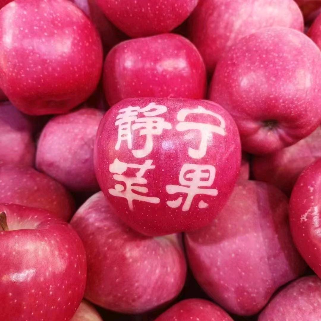 成纪人