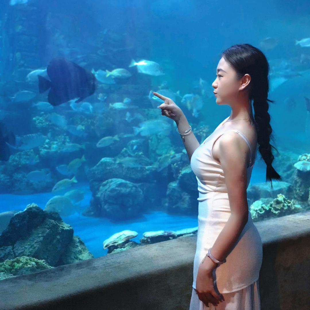 夏夜小星晴～