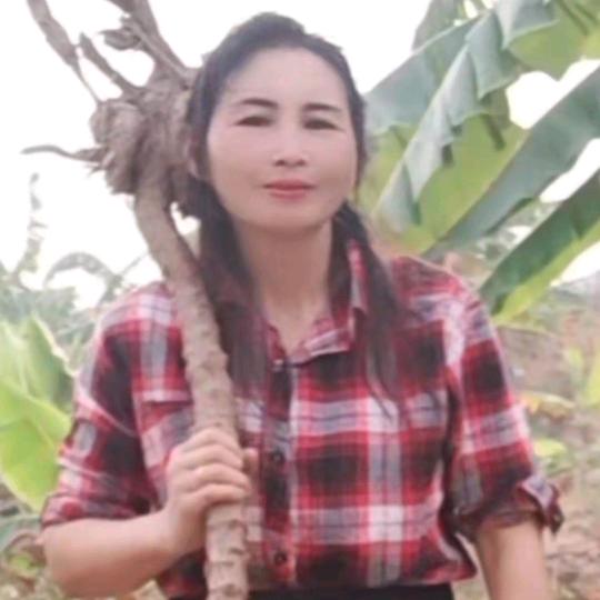 乡村三姐首晚上8，10首播