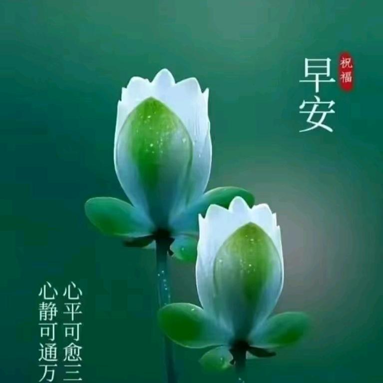 相依儒沫