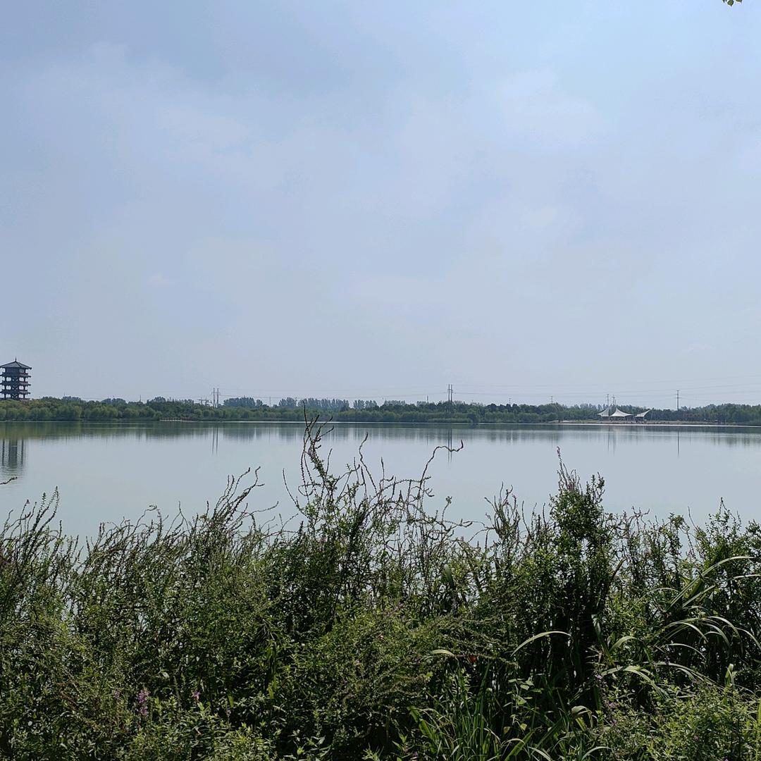 沐沐尘