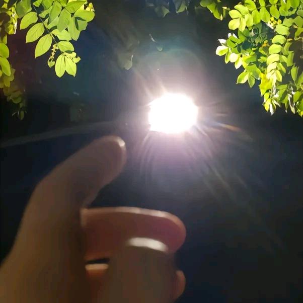 锋铓毕露