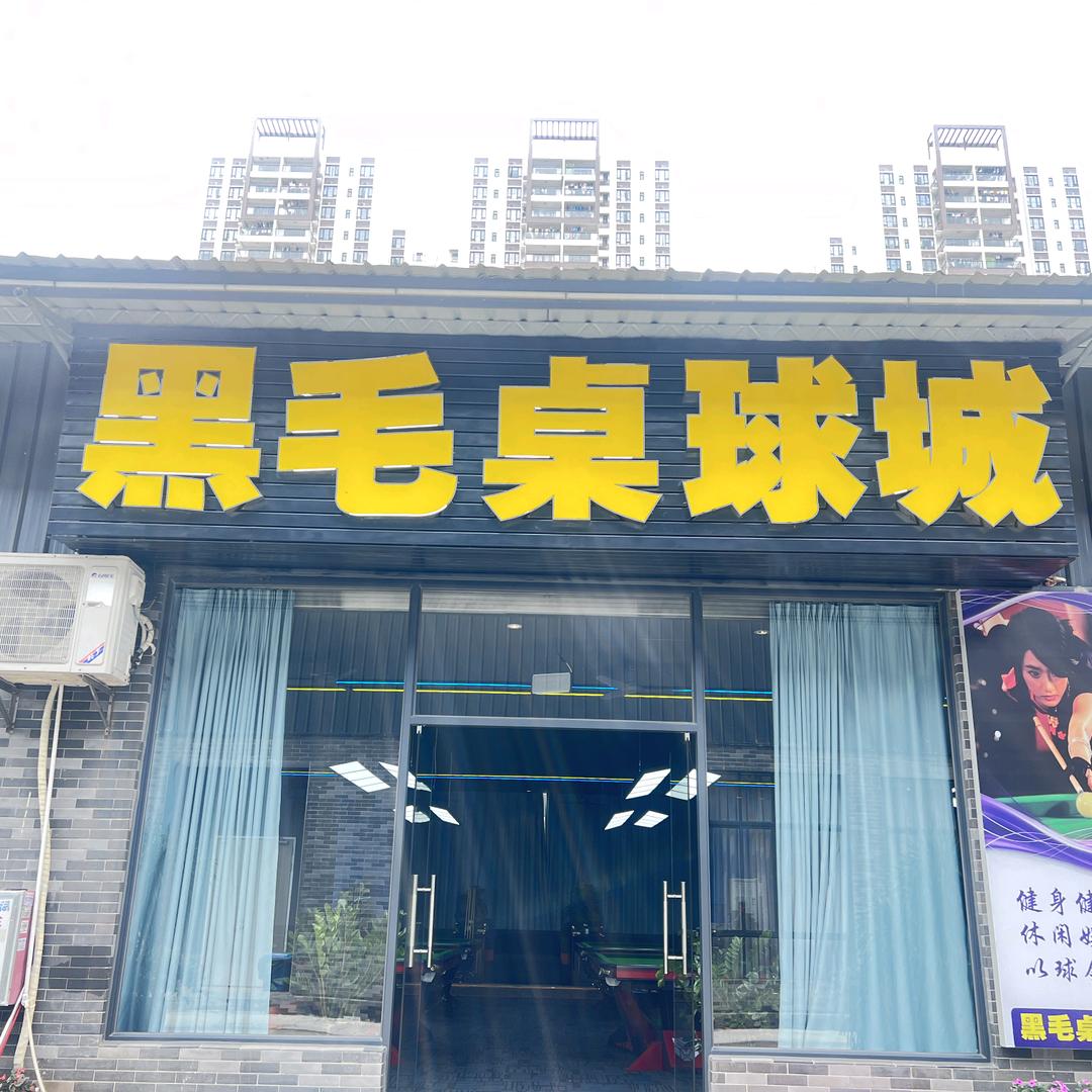 黑毛桌球城