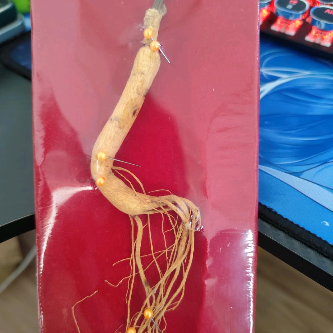 羊羊