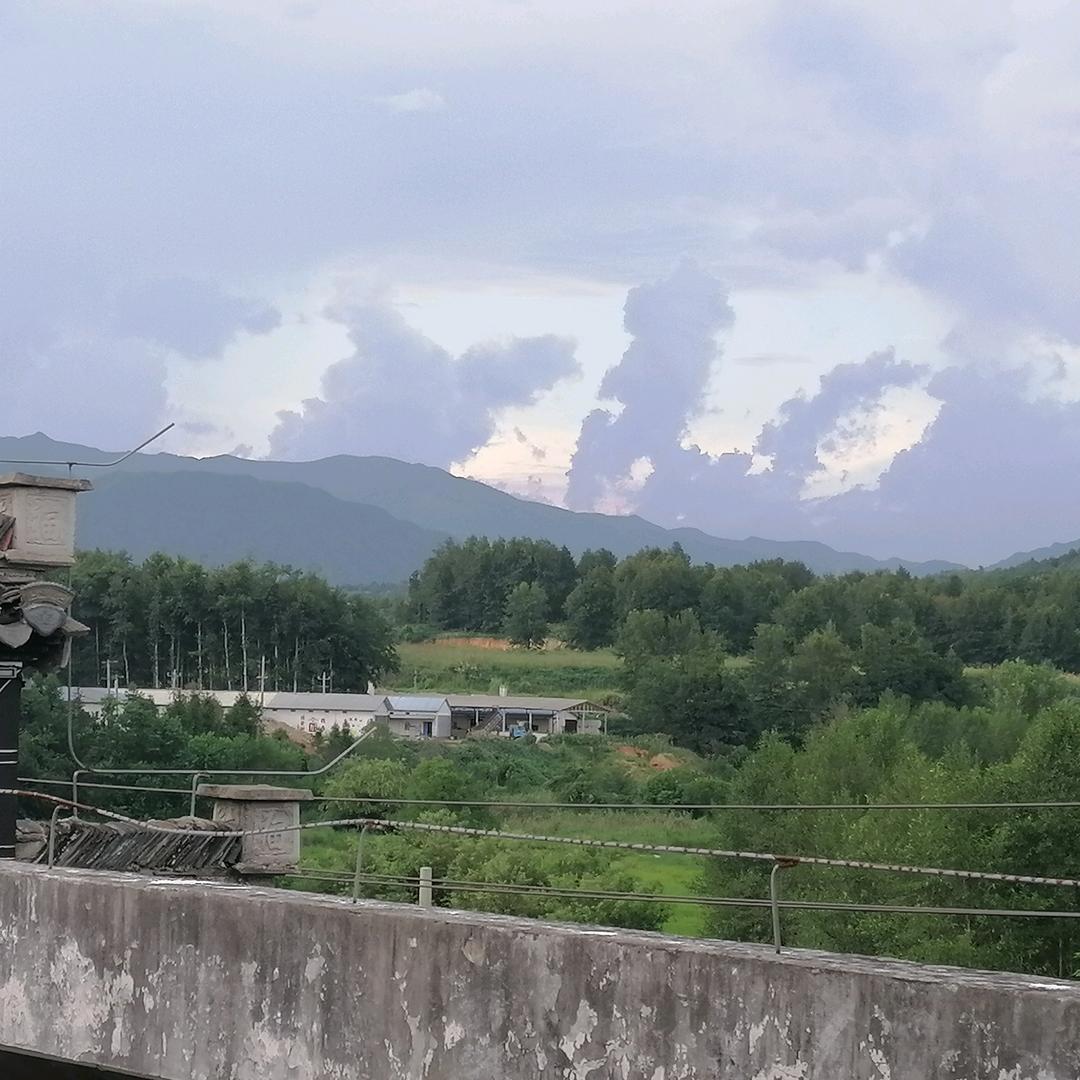 读完名字的都是大笨蛋