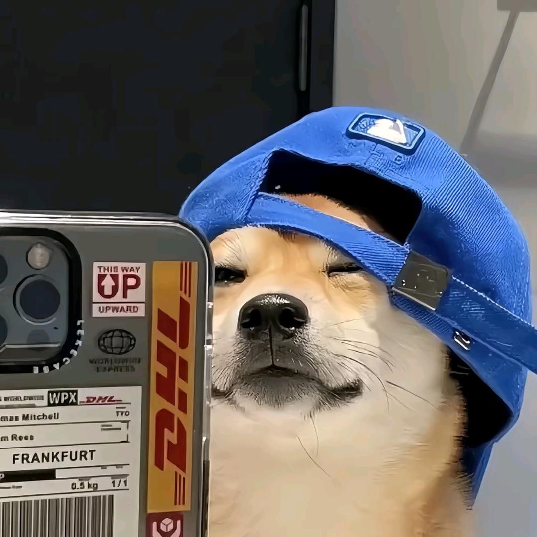 洞拐