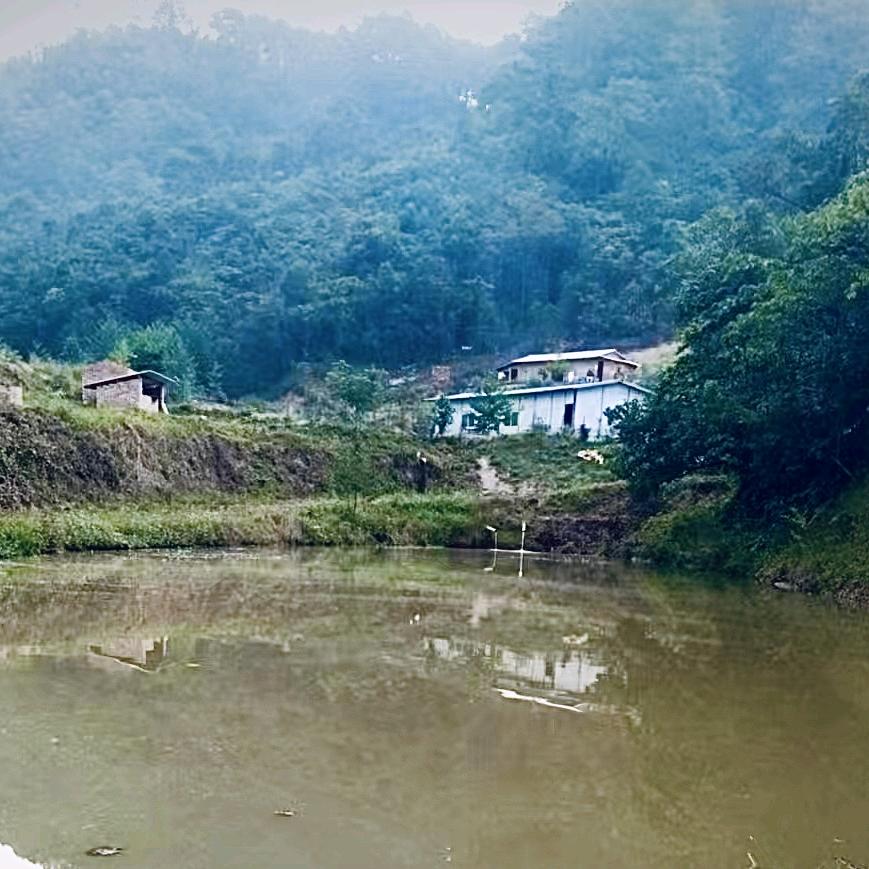 广南县达莲塘禹福生态鱼场