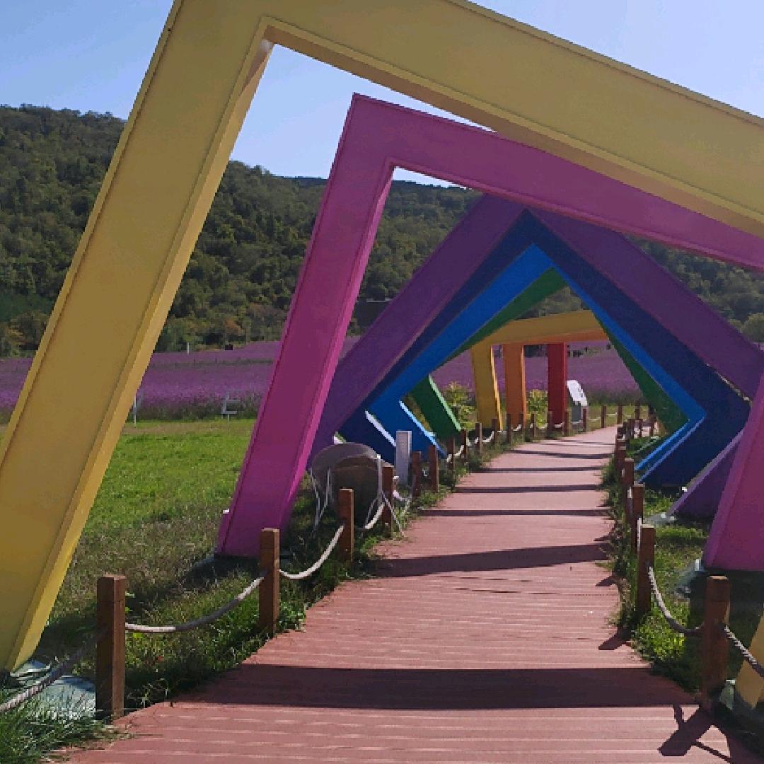 阿波♥☆大赤兔