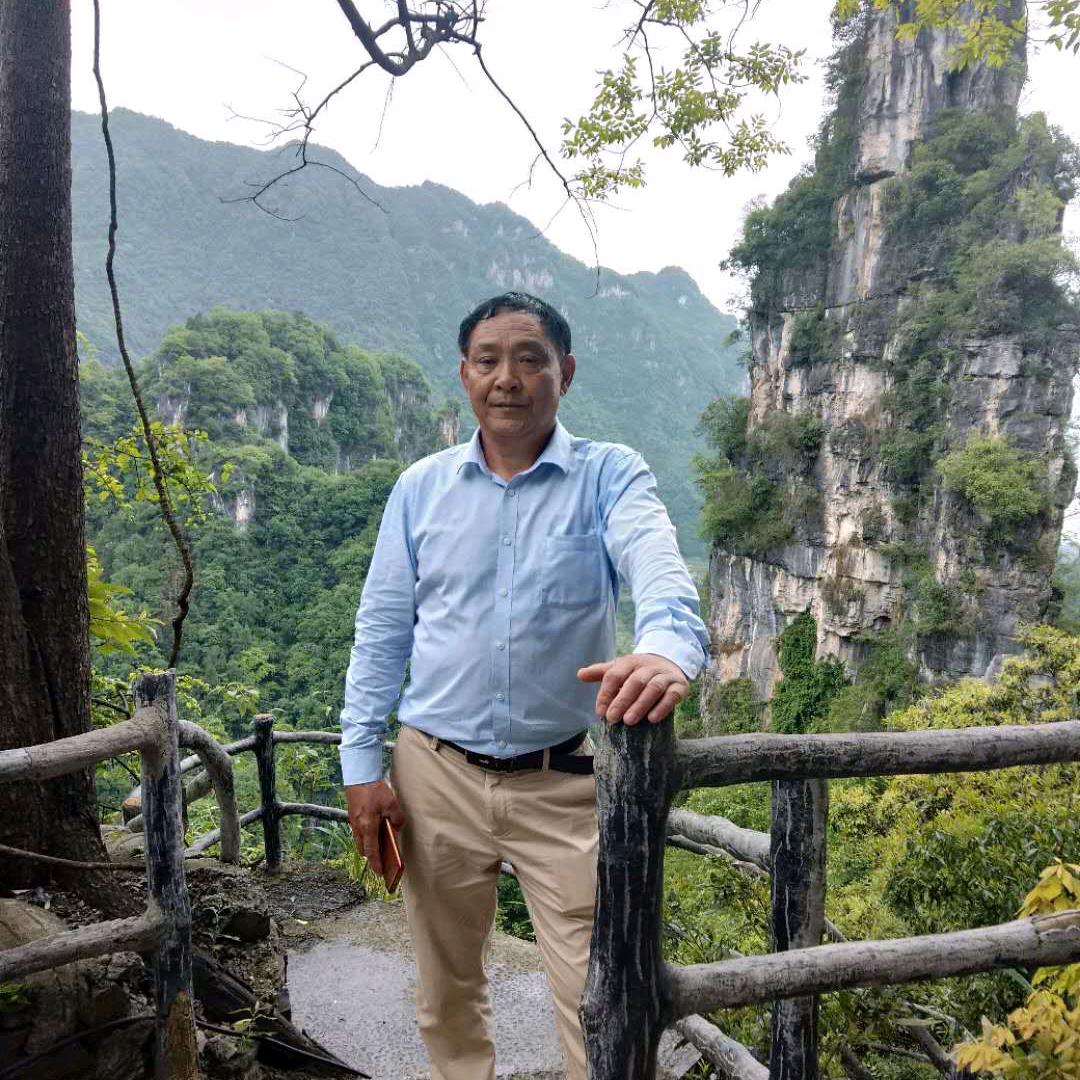 嘉鱼县铁强种植专业合作社