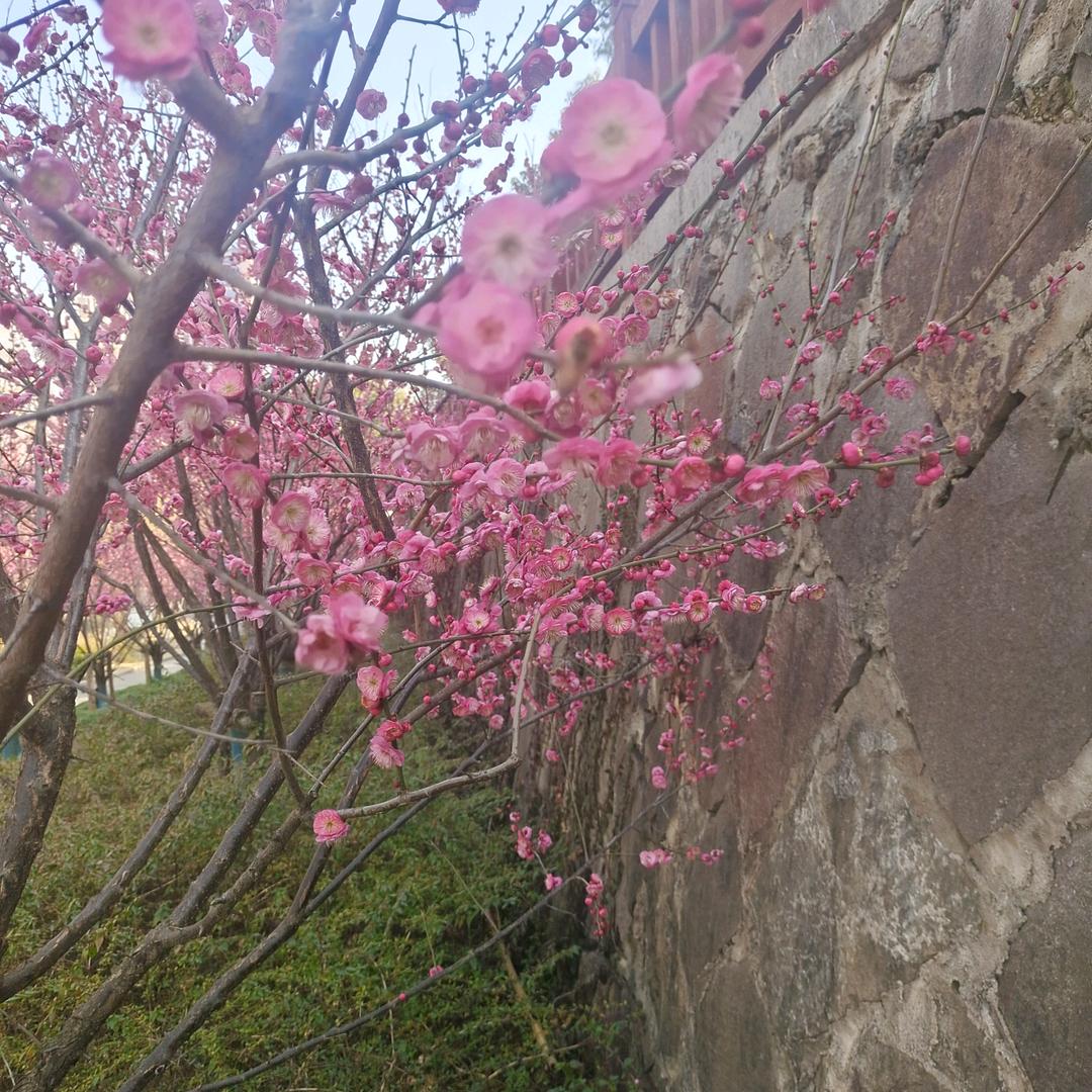 雪儿
