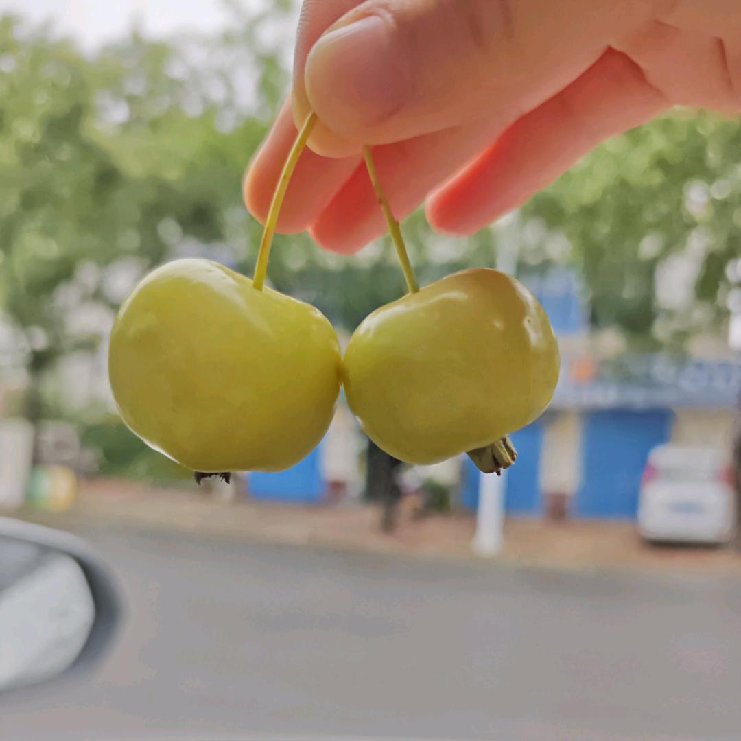 该用户不存在