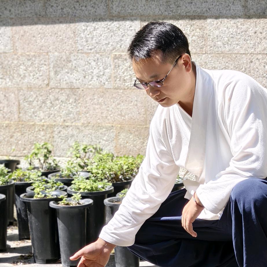 云太吉茶叶