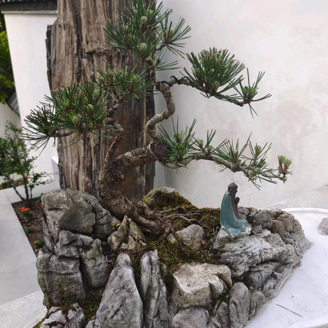 诗和远方