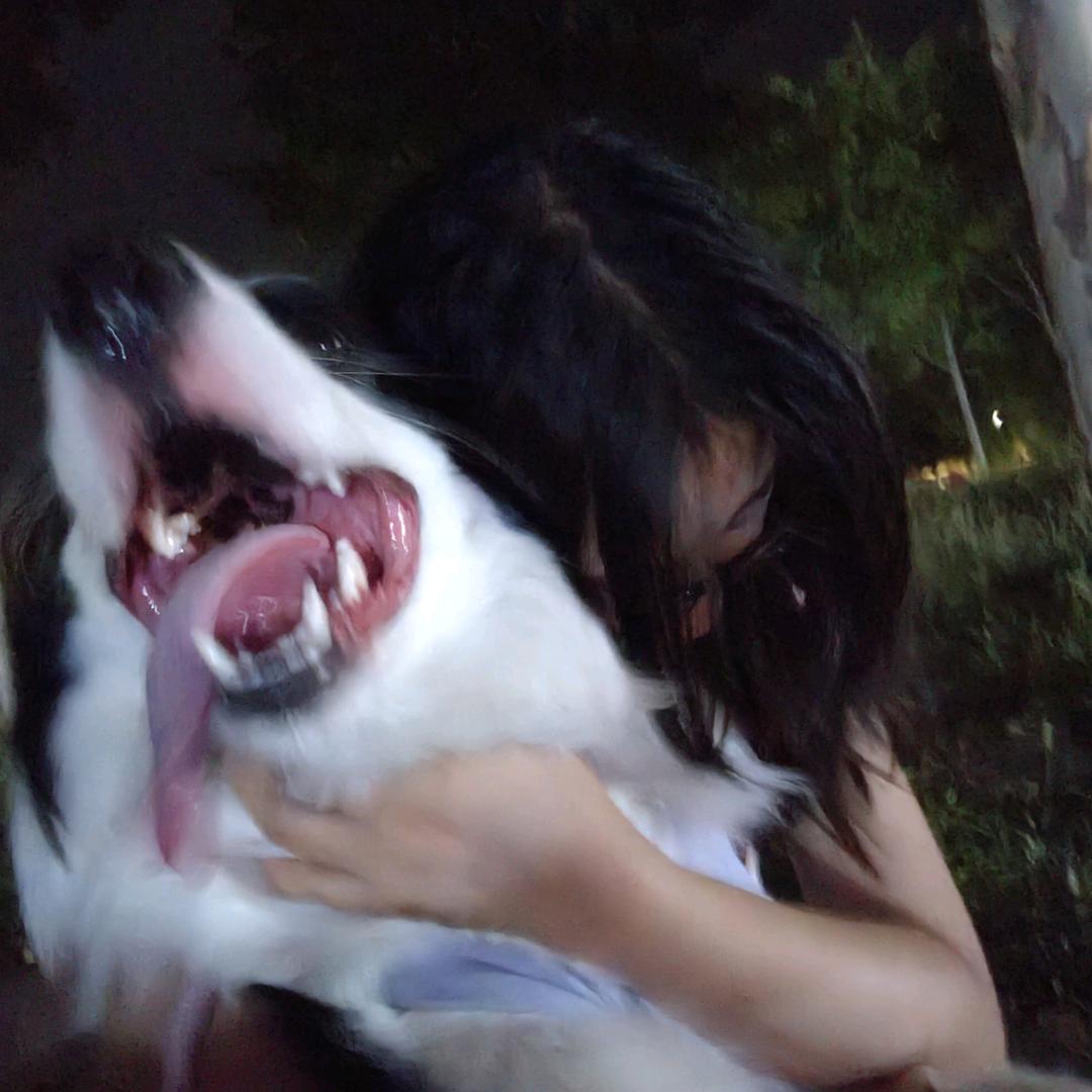 cf故思