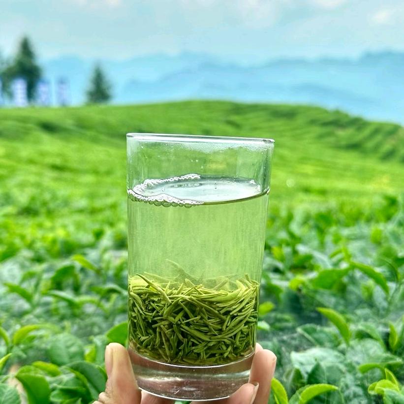 保康高香茶小涂