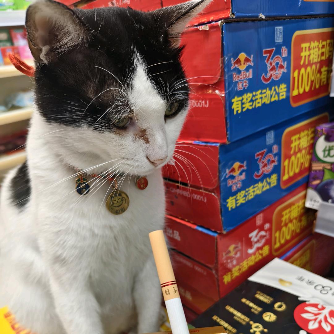 ....................