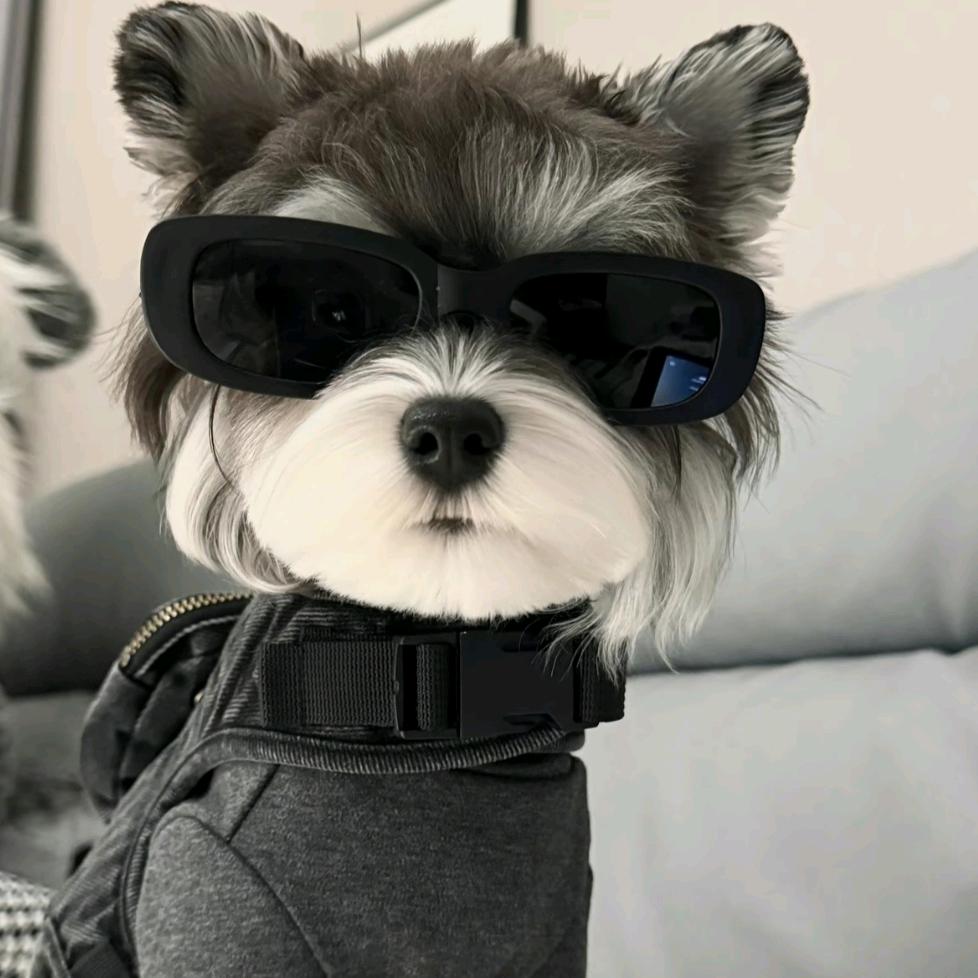 你是造物主的偏爱