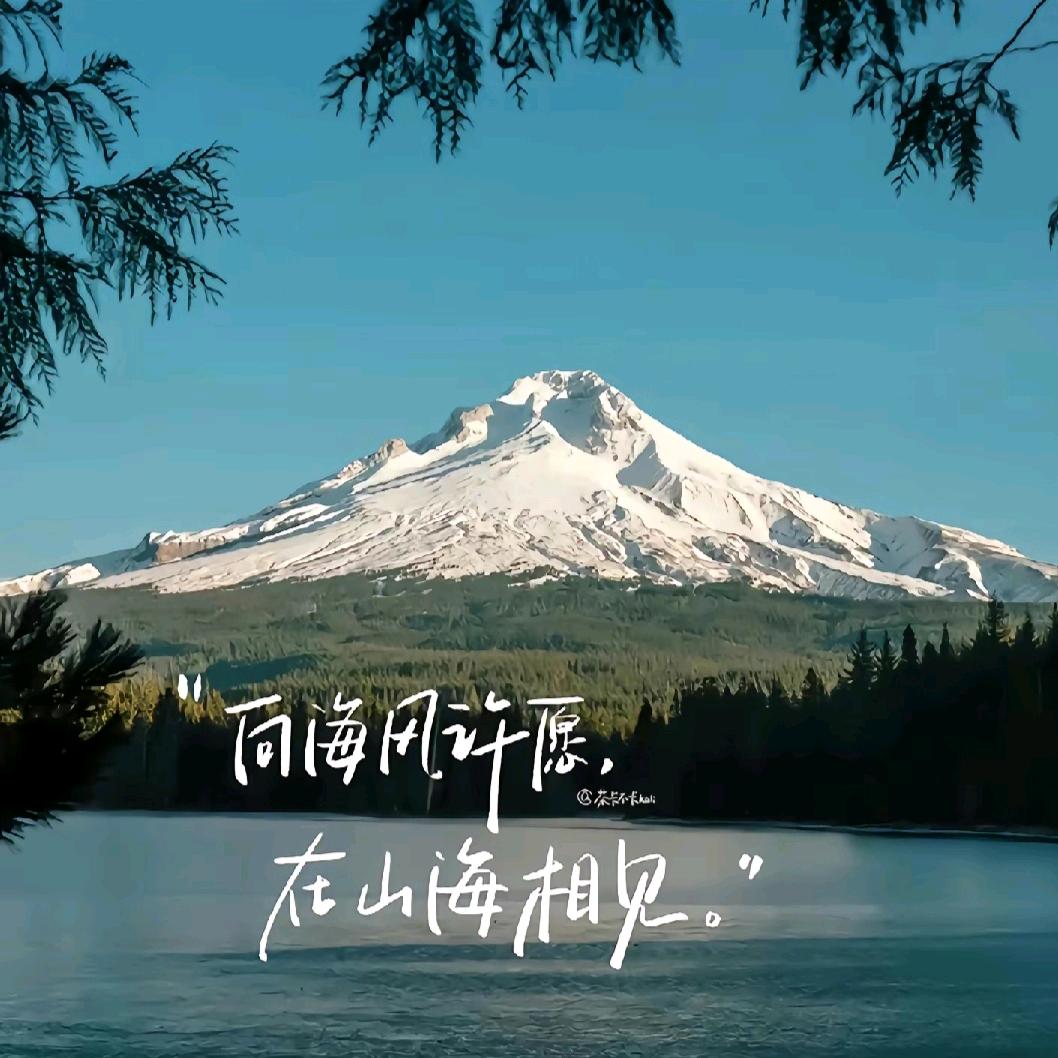 凉拌见手青