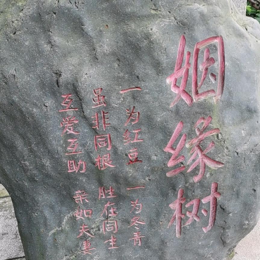 平哥