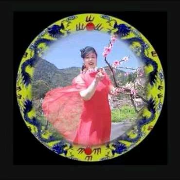 龍行⭐️杨梅（31）