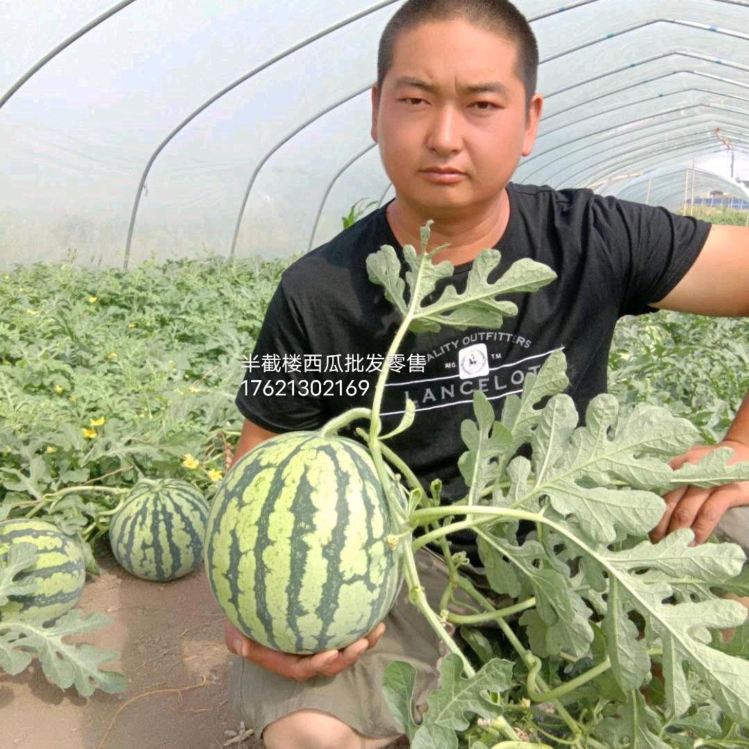 走天涯看天下