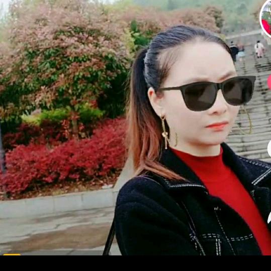 紫腾(中午10点40)