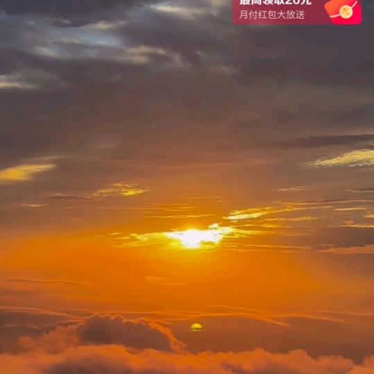 夕阳红