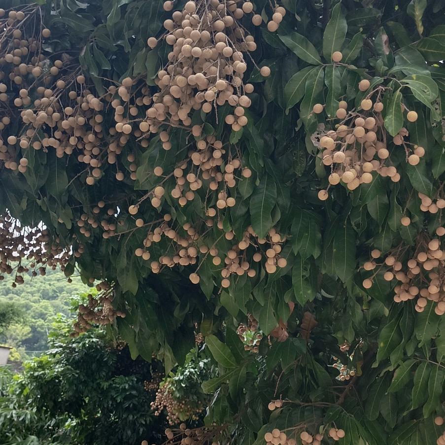 随心所欲