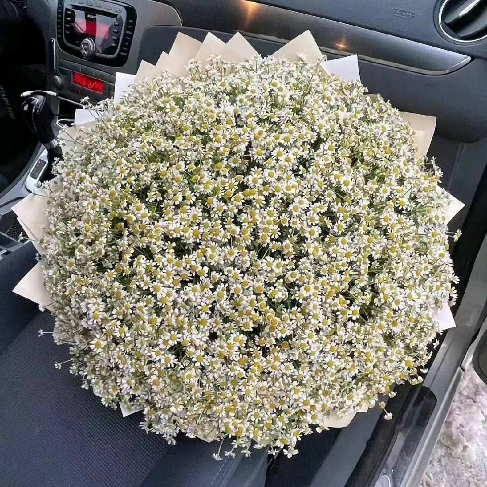 通讯录好友