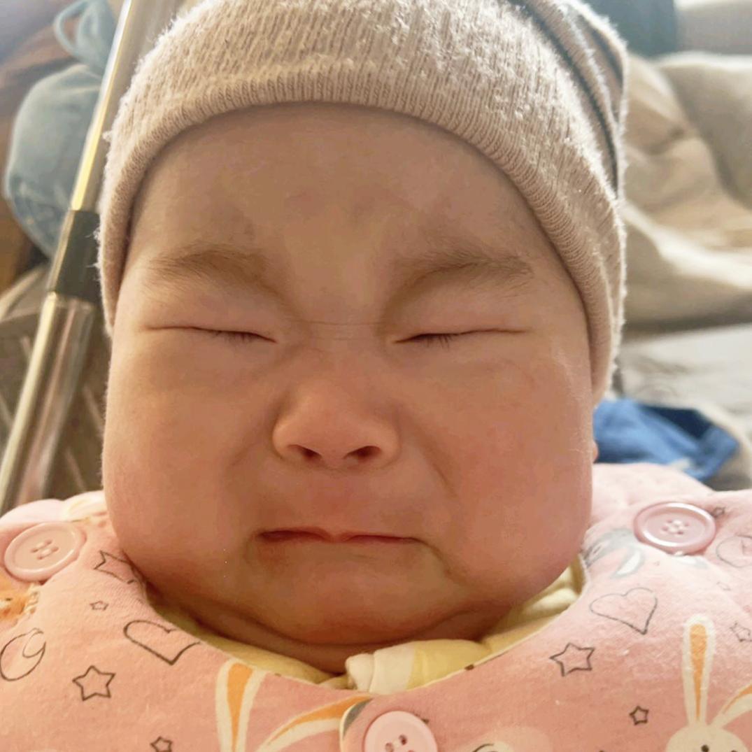 小石头的成长日记