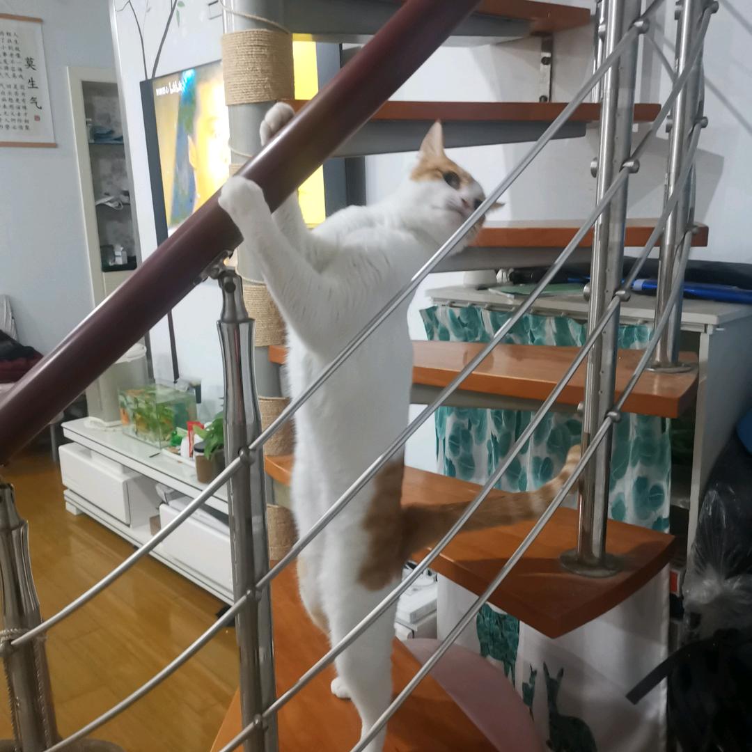 请叫我江湖侠女