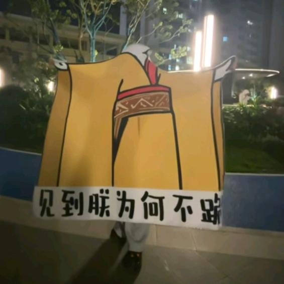 我的毯子，真帅