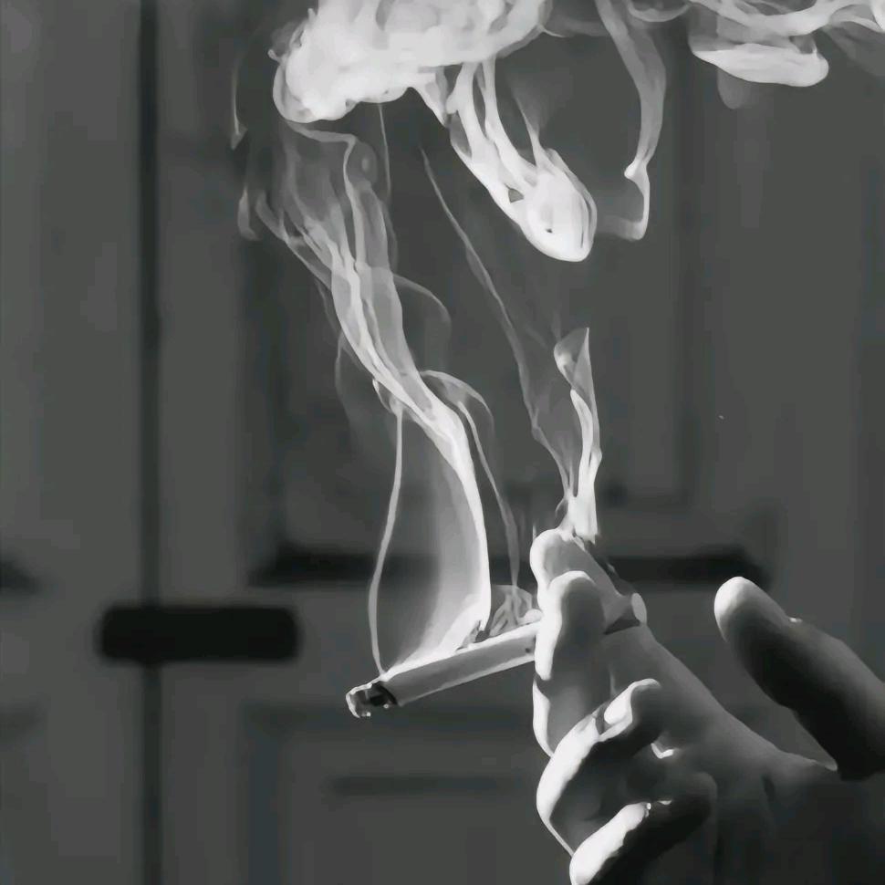知琪不可奈何