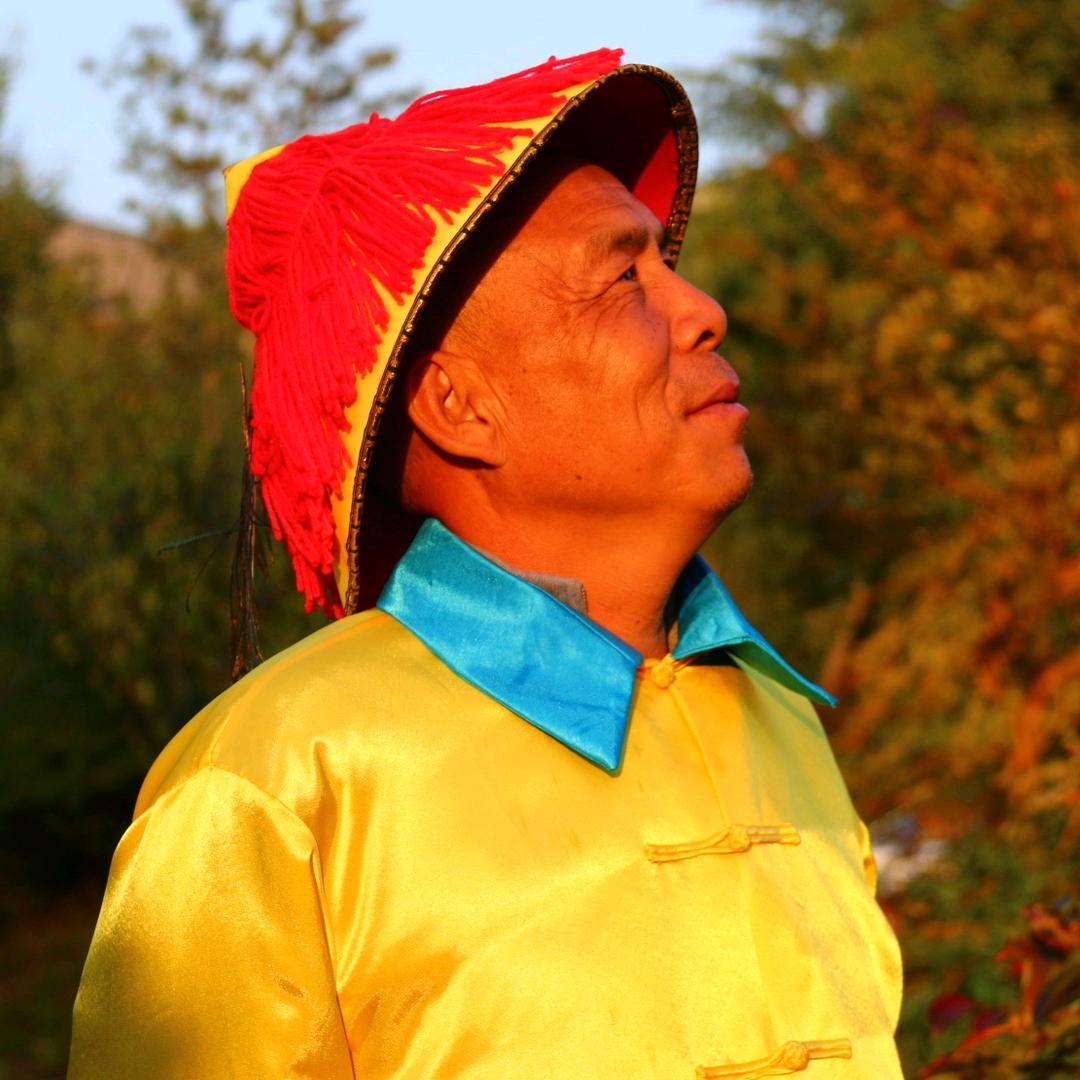 御前侍卫张大人