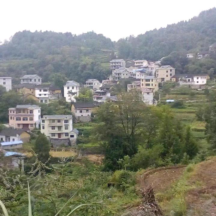 爱你一生是我