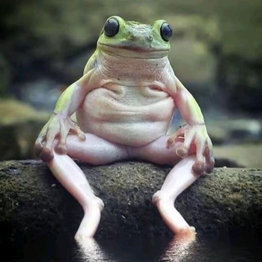 （ㅤㅤㅤㅤㅤㅤㅤ）