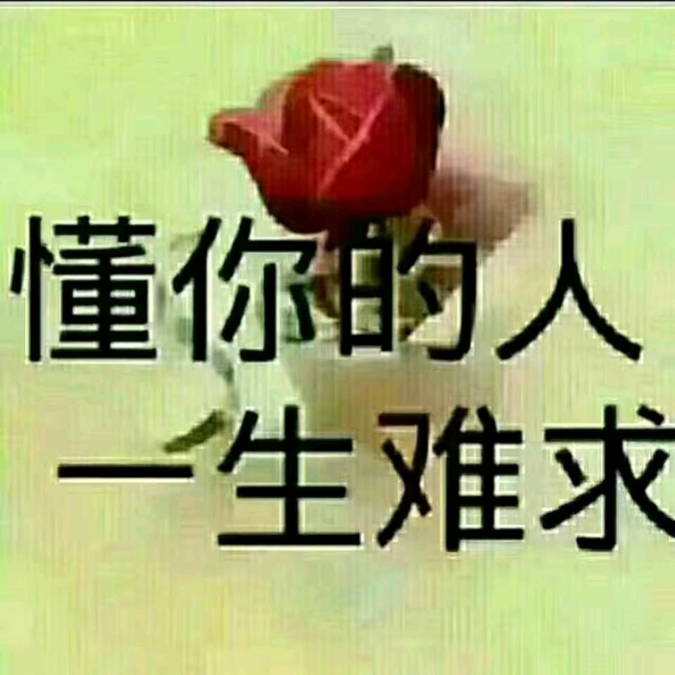 乐乐