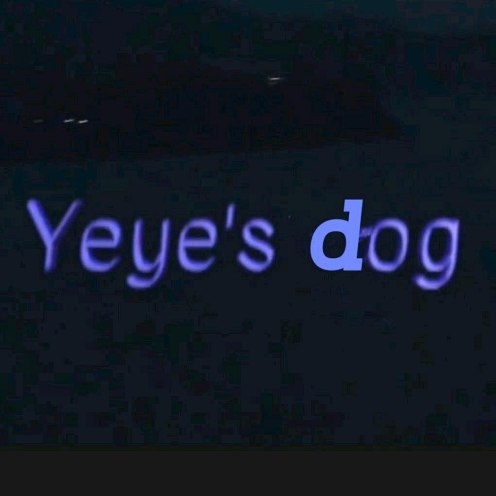 yeble_沈梦瑶1231跨年演出