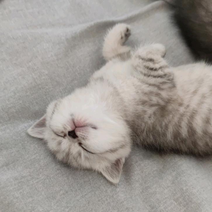 😺米粒儿BaBy