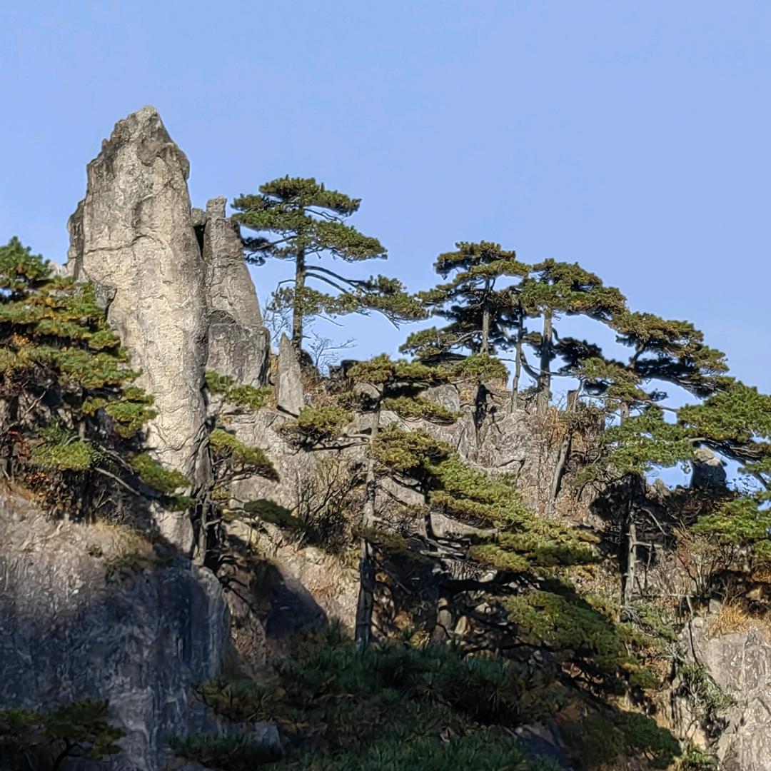 风帆