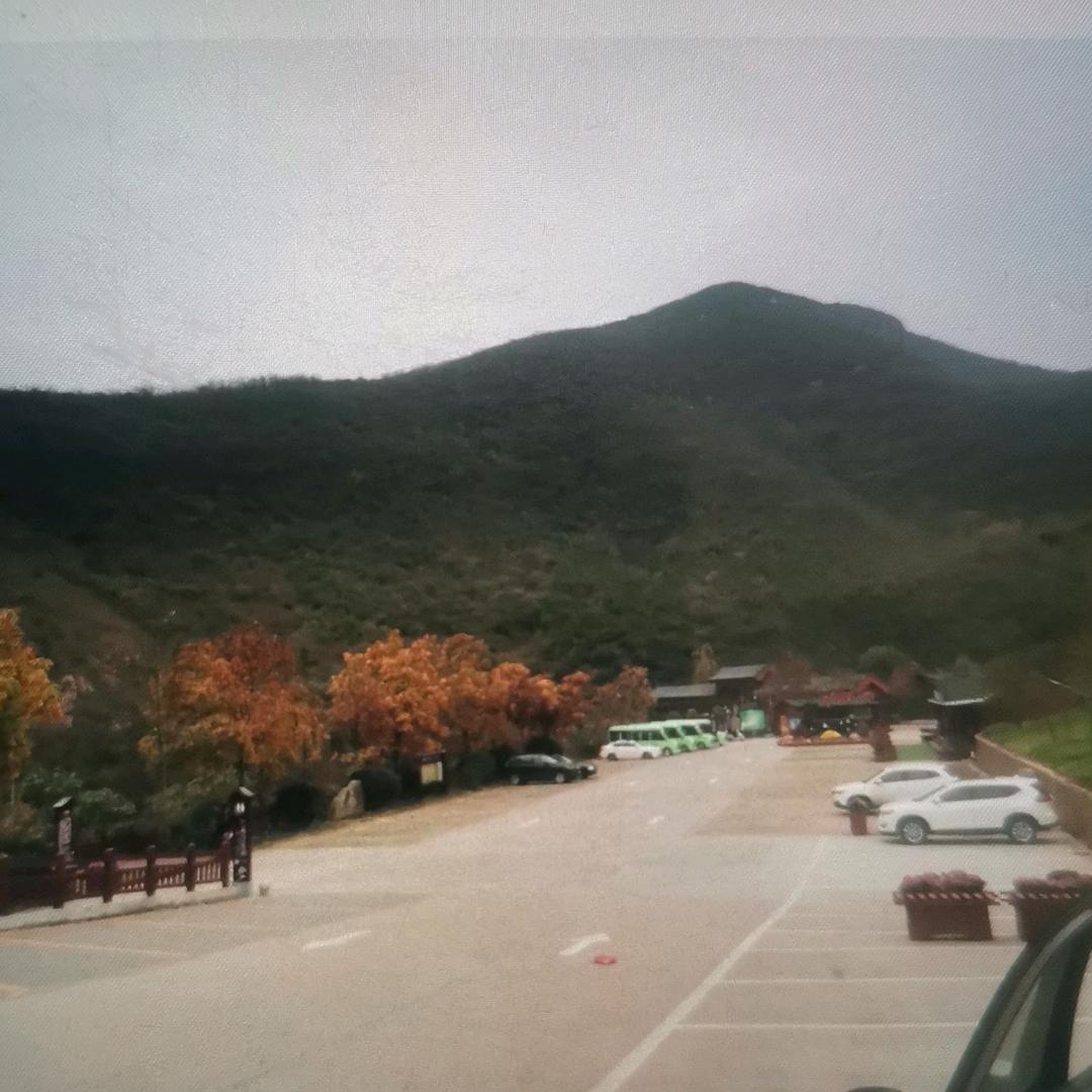 飞硕优选