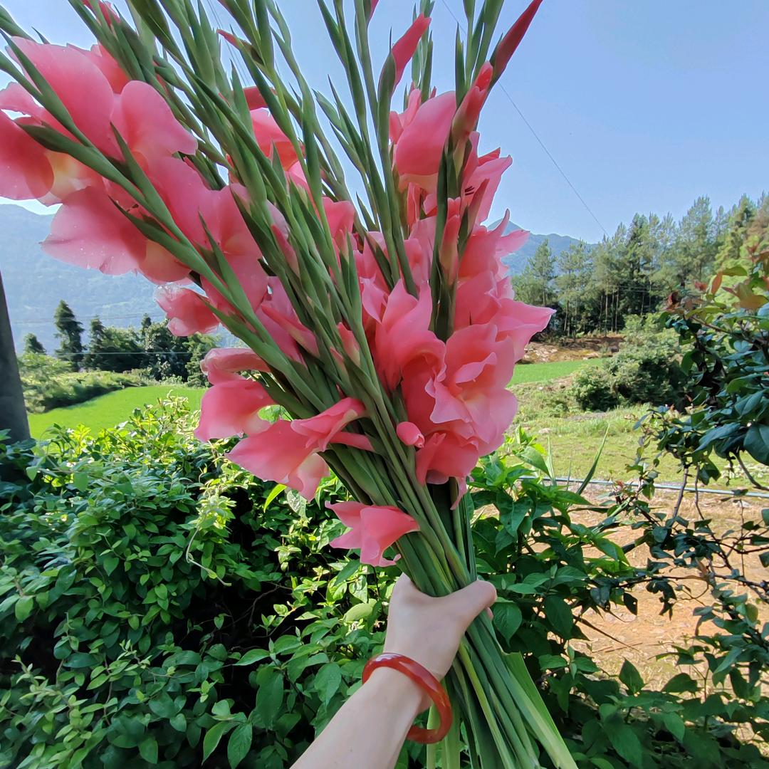 恩施女儿城🌴小木屋