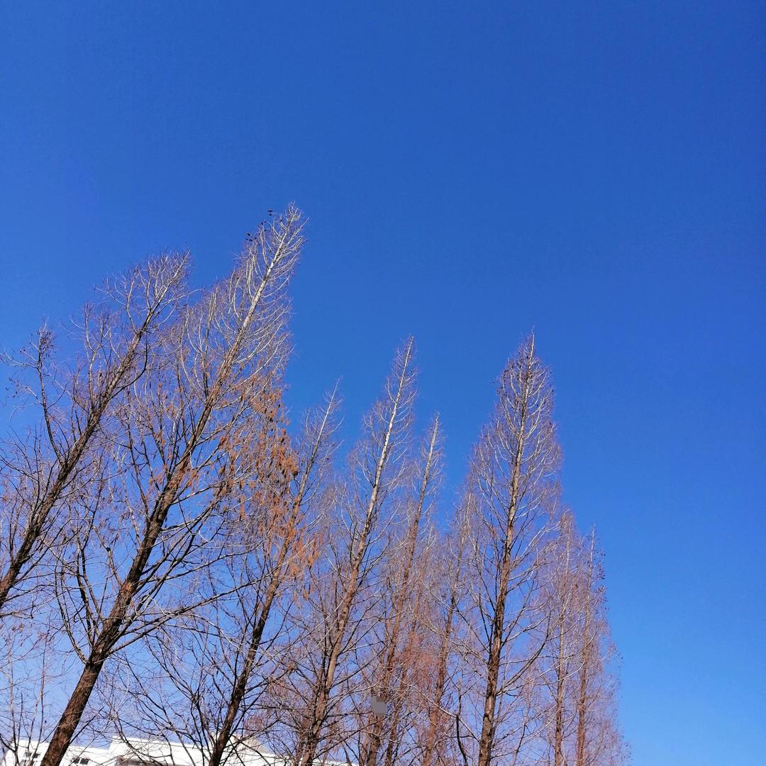 远山L