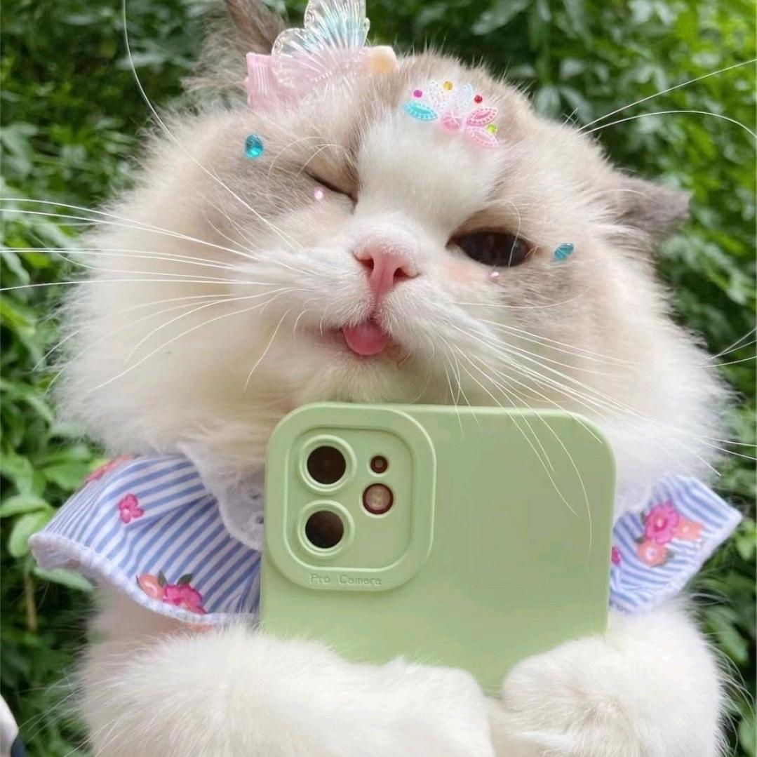 💞༊仙ღ᭄儿ꦿ꯭এ᭄💞