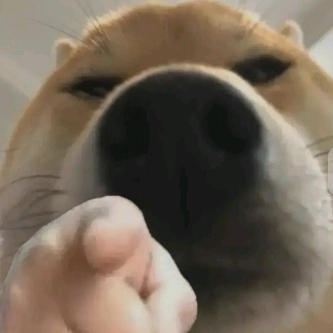 花落薇几何