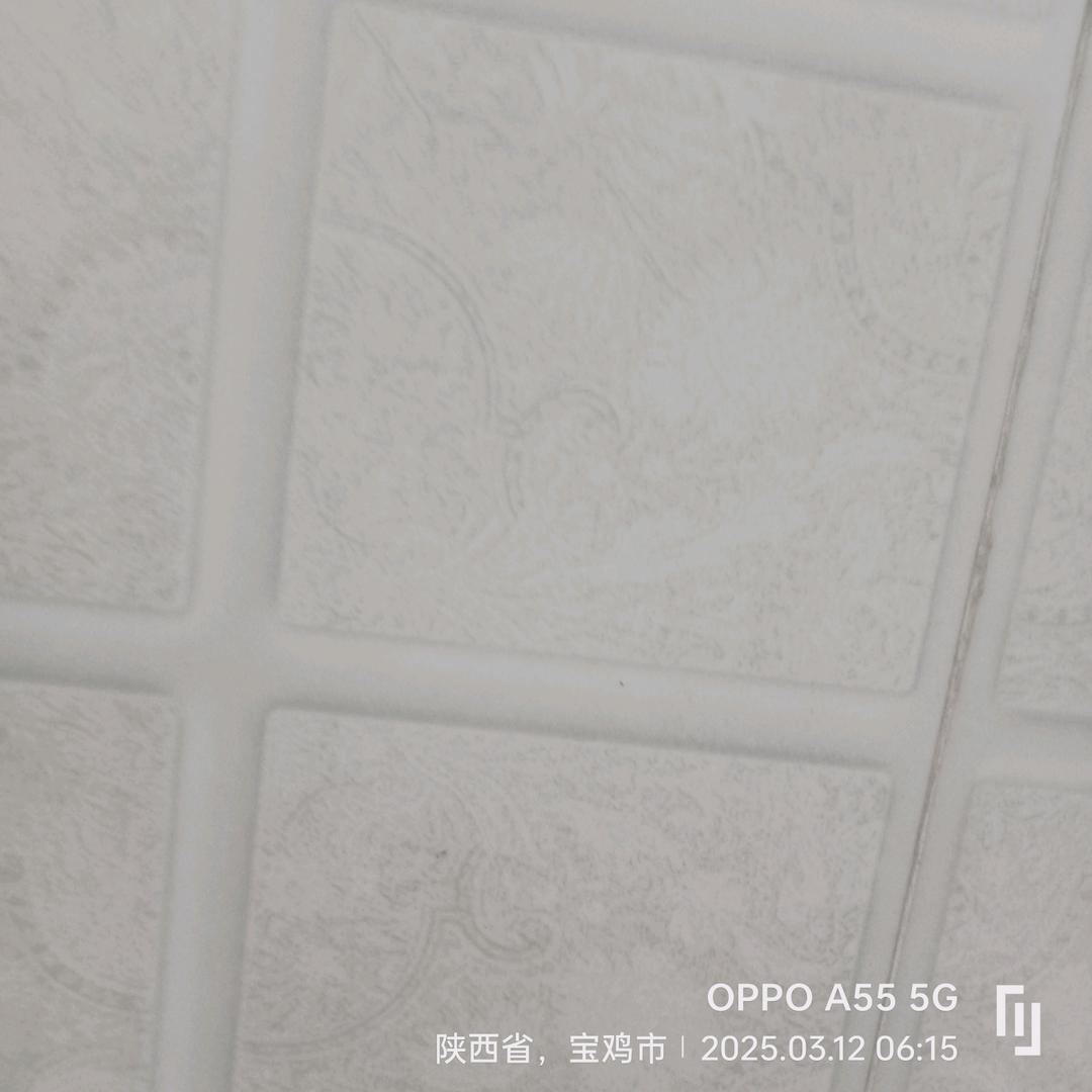 自己的路靠自己走