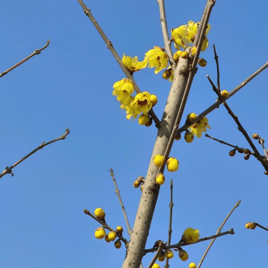 星辰大海❣️❤️